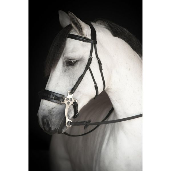 LIPPO SUPREME CHESTER HODELAG FOR HACKAMORE