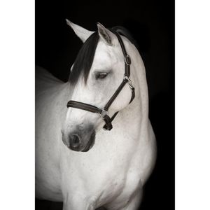 Hovedbilde LIPPO L&AElig;RGRIME